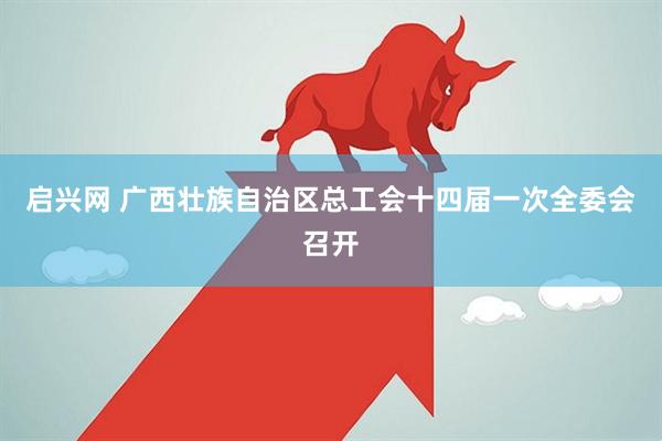 启兴网 广西壮族自治区总工会十四届一次全委会召开