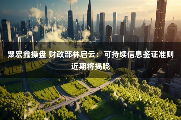 聚宏鑫操盘 财政部林启云：可持续信息鉴证准则近期将揭晓