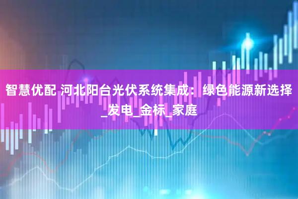 智慧优配 河北阳台光伏系统集成：绿色能源新选择_发电_金标_家庭