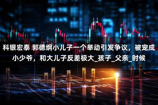 科银宏泰 郭德纲小儿子一个举动引发争议，被宠成小少爷，和大儿子反差极大_孩子_父亲_时候