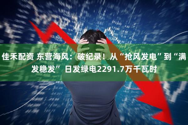 佳禾配资 东营海风：破纪录！从“抢风发电”到“满发稳发” 日发绿电2291.7万千瓦时