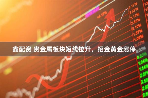 鑫配资 贵金属板块短线拉升，招金黄金涨停